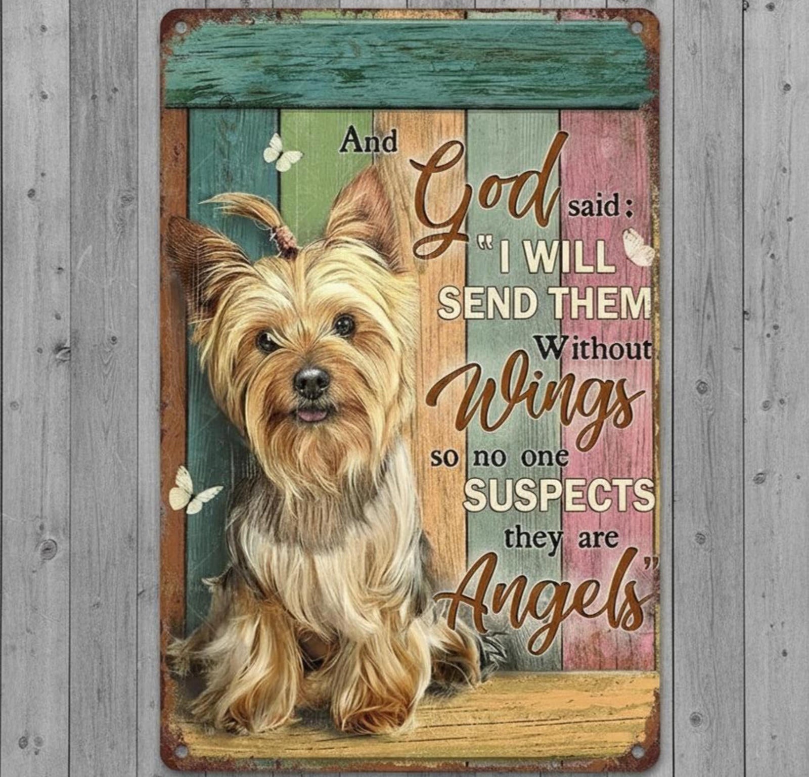 God Said I Will Send Then Without Wings 8 x 12 Novelty Metal Sign Made In USA