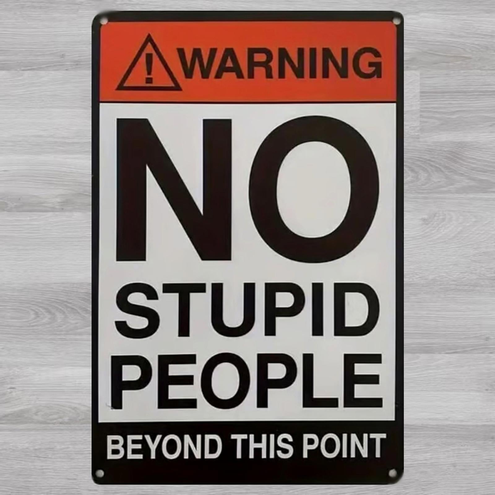 No Stupid People Beyond this Point 8 x 12 Novelty Metal Sign New!