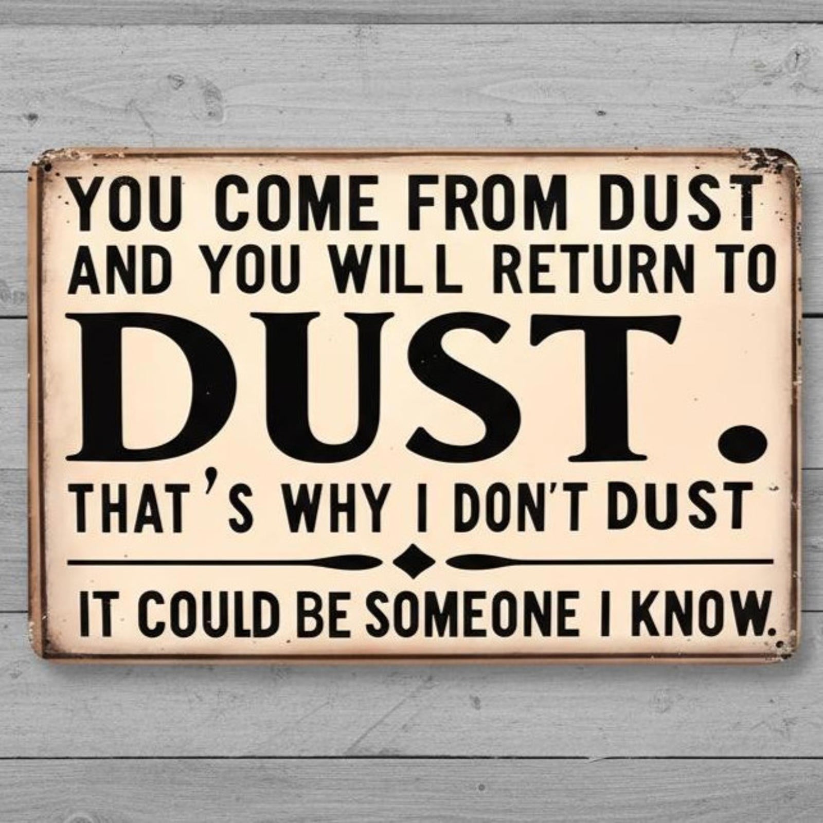 Why I don't Dust Humor 8 x 12 Vintage Novelty Metal Sign Made In USA