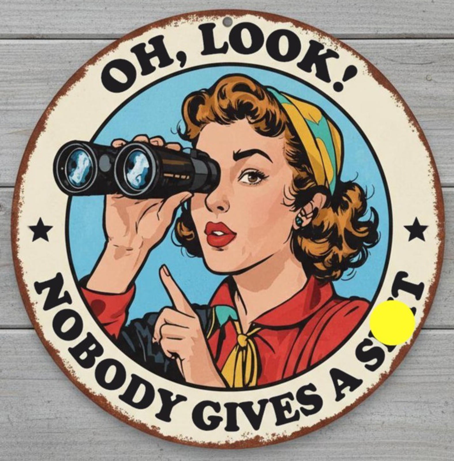 Oh, Look! Nobody Gives A S**T 8" Diameter Novelty Metal Sign Made In USA New!