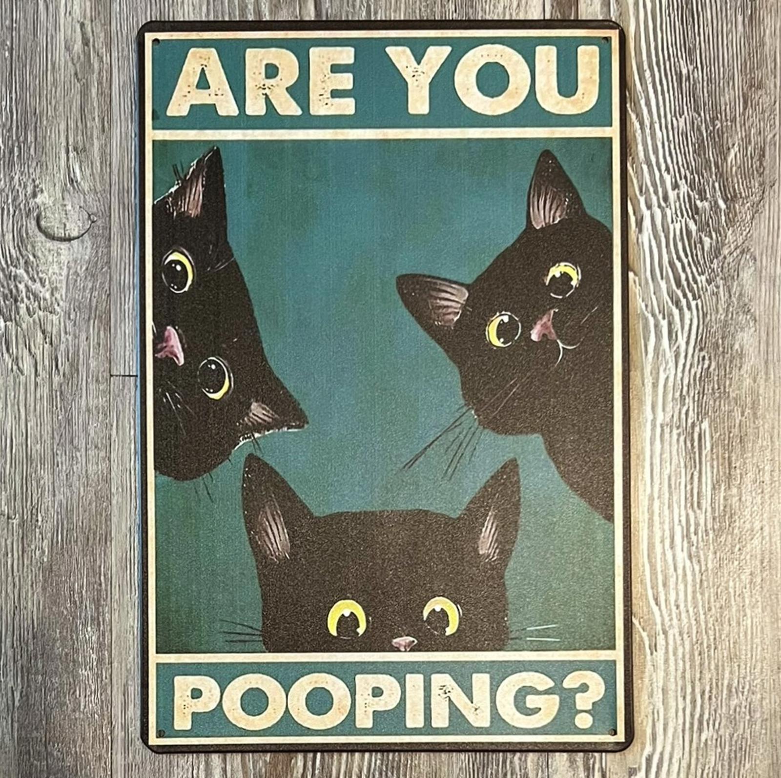 Cats Asking Are You Pooping? 8 x 12 Novelty Metal Sign New!