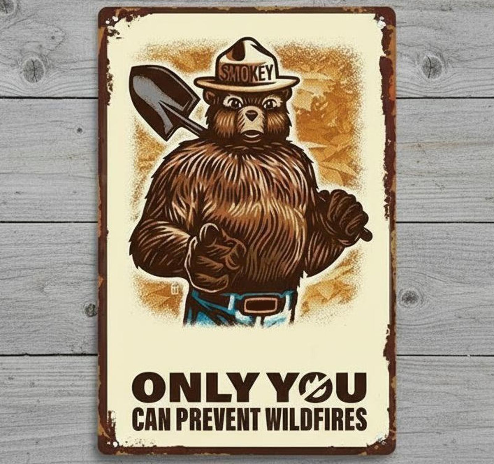 Smokey the Bear Only You Can Prevent Wildfires  8 x 12 Novelty Metal Sign