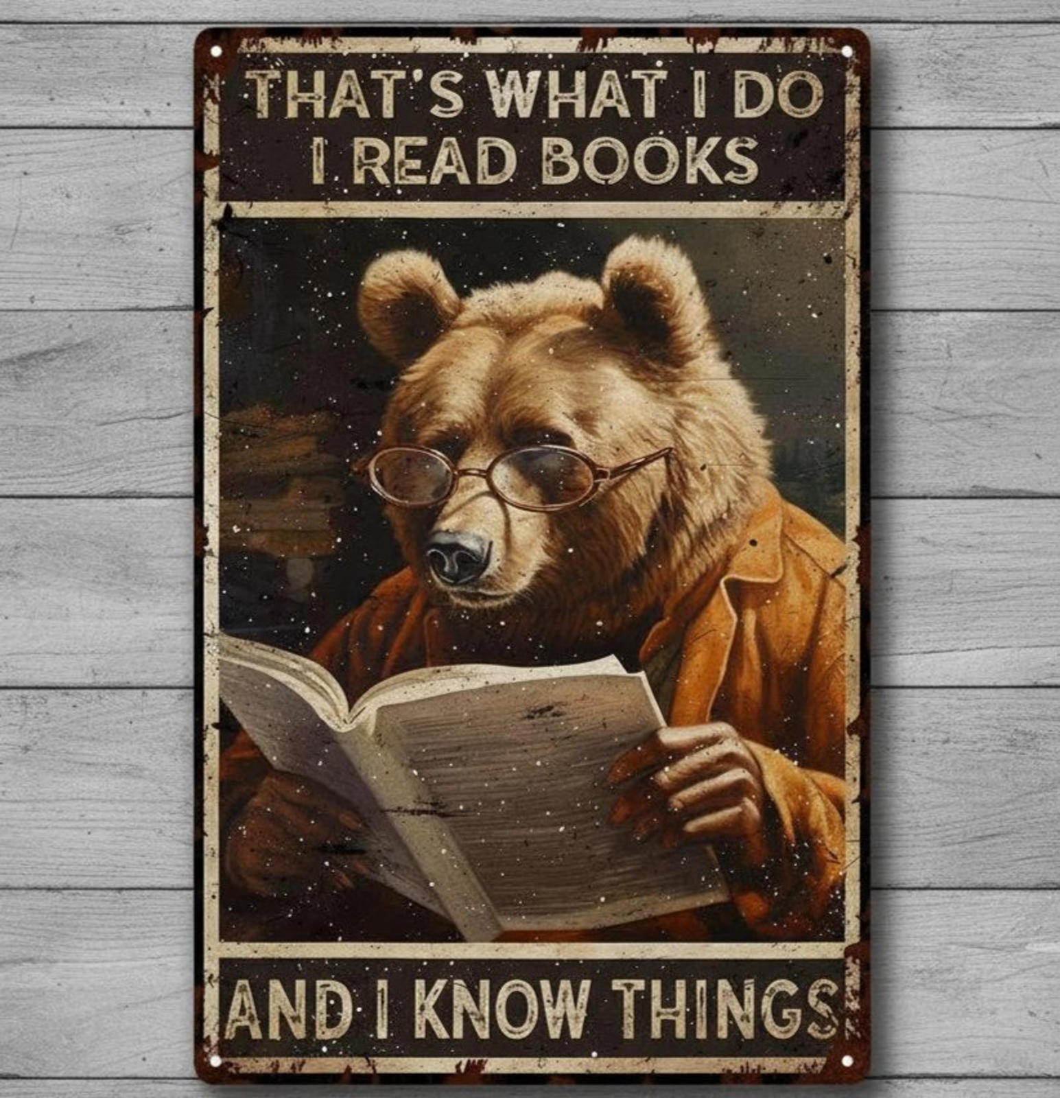 I Read And I Know Things 8 x 12 Vintage Novelty Metal Sign Made In USA