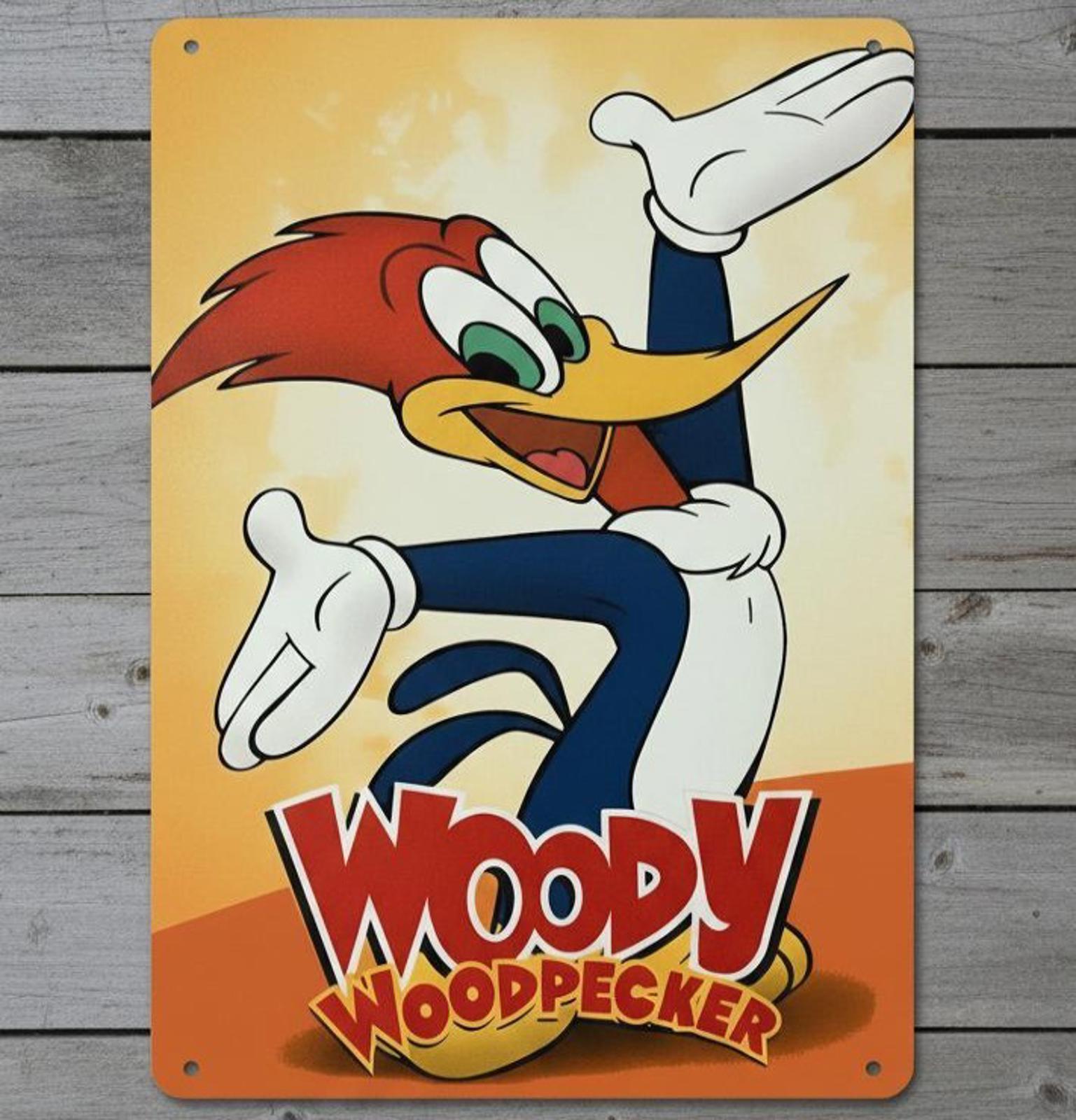 Woody Woodpecker Cartoon 8 x 12 Novelty Metal Sign Shrink-wrapped Made IN USA