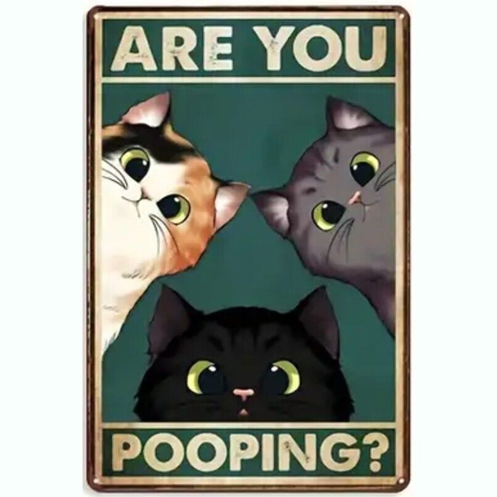 Are You Pooping? 8" x 12" Novelty Metal Sign New! Home & Garden:Home Décor:Plaques & Signs Style Your Walls