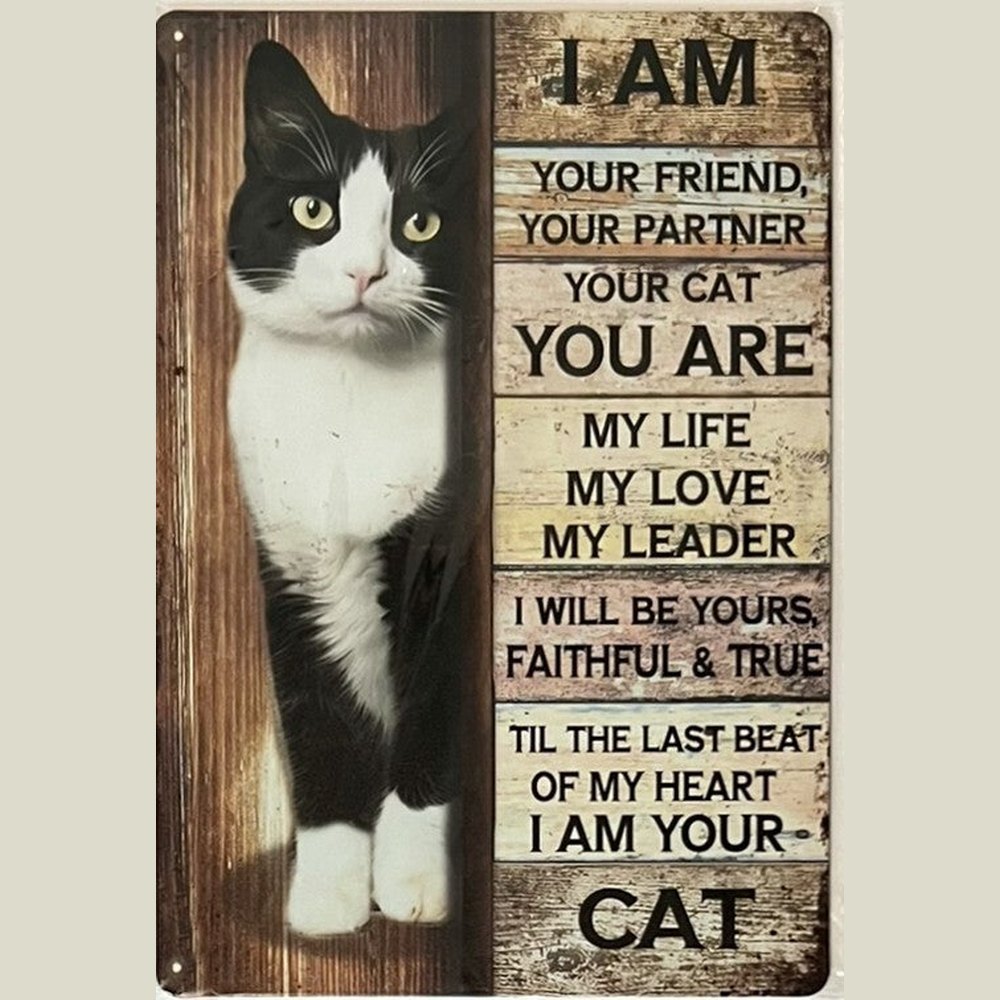 I Am Your Cat Vintage Novelty metal sign, 8" x 12" Wall Art Home & Garden:Home Décor:Plaques & Signs Style Your Walls
