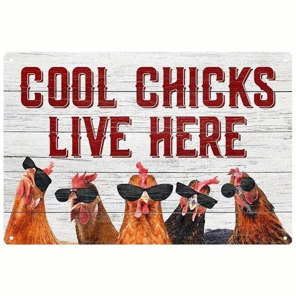 Cool Chicks Live Here Novelty Metal Sign 12 x 8 Wall Art Home & Garden:Home Décor:Plaques & Signs Style Your Walls