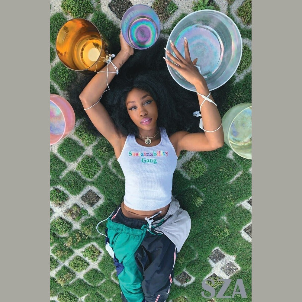 Sza Sustainable Poster 24" x 36" New! Art:Art Posters Style Your Walls