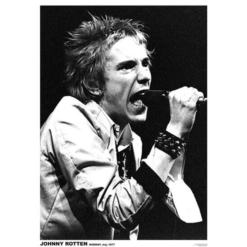 Sex Pistols Johnny Rotten Norway 1977 Poster 24" x 33" New! Art:Art Posters Style Your Walls