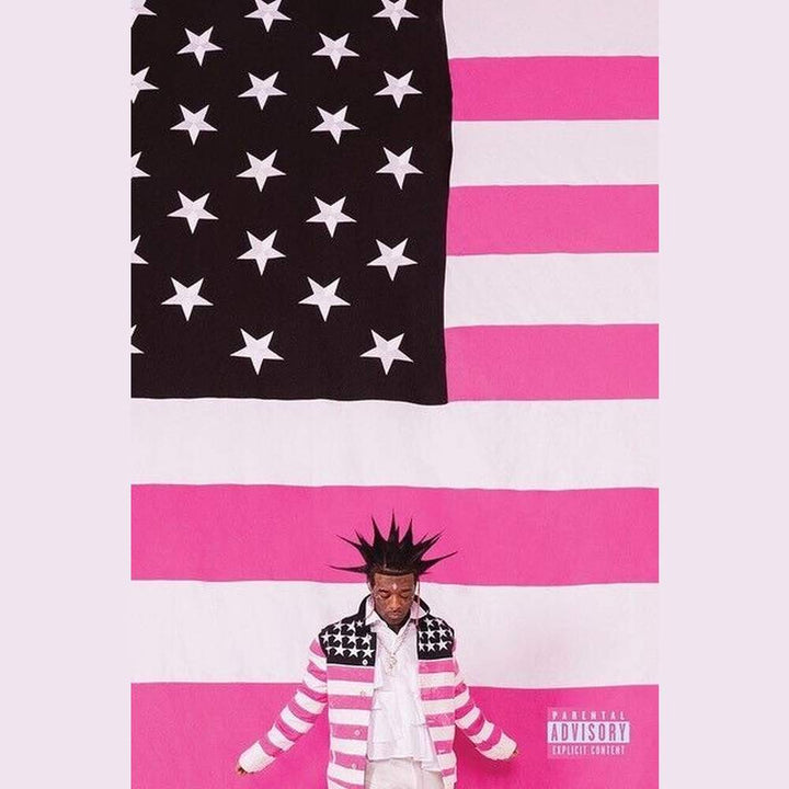 Lil Uzi Vert Poster 24" x 36" New! Art:Art Posters Style Your Walls