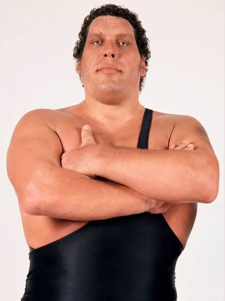 Andre The Giant 8.5 x 11 Color Photograph Art Print Photo Picture Collectibles:Photographic Images:Photographs Style Your Walls