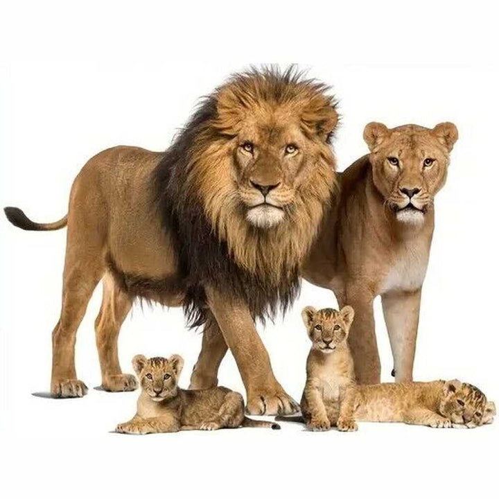 Realistic Lion Family 3D Wall Decal 30.7" x 23.6" NEW! Home & Garden:Home Décor:Decals, Stickers & Vinyl Art Style Your Walls