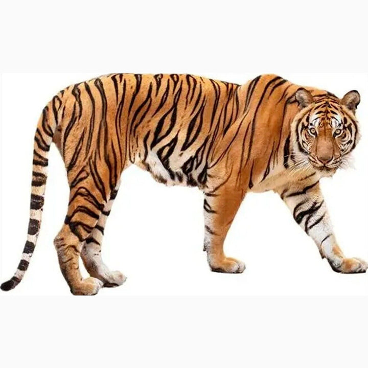 Realistic Tiger 3D Wall Decal 25.5" x 22.8" NEW! Home & Garden:Home Décor:Decals, Stickers & Vinyl Art Style Your Walls