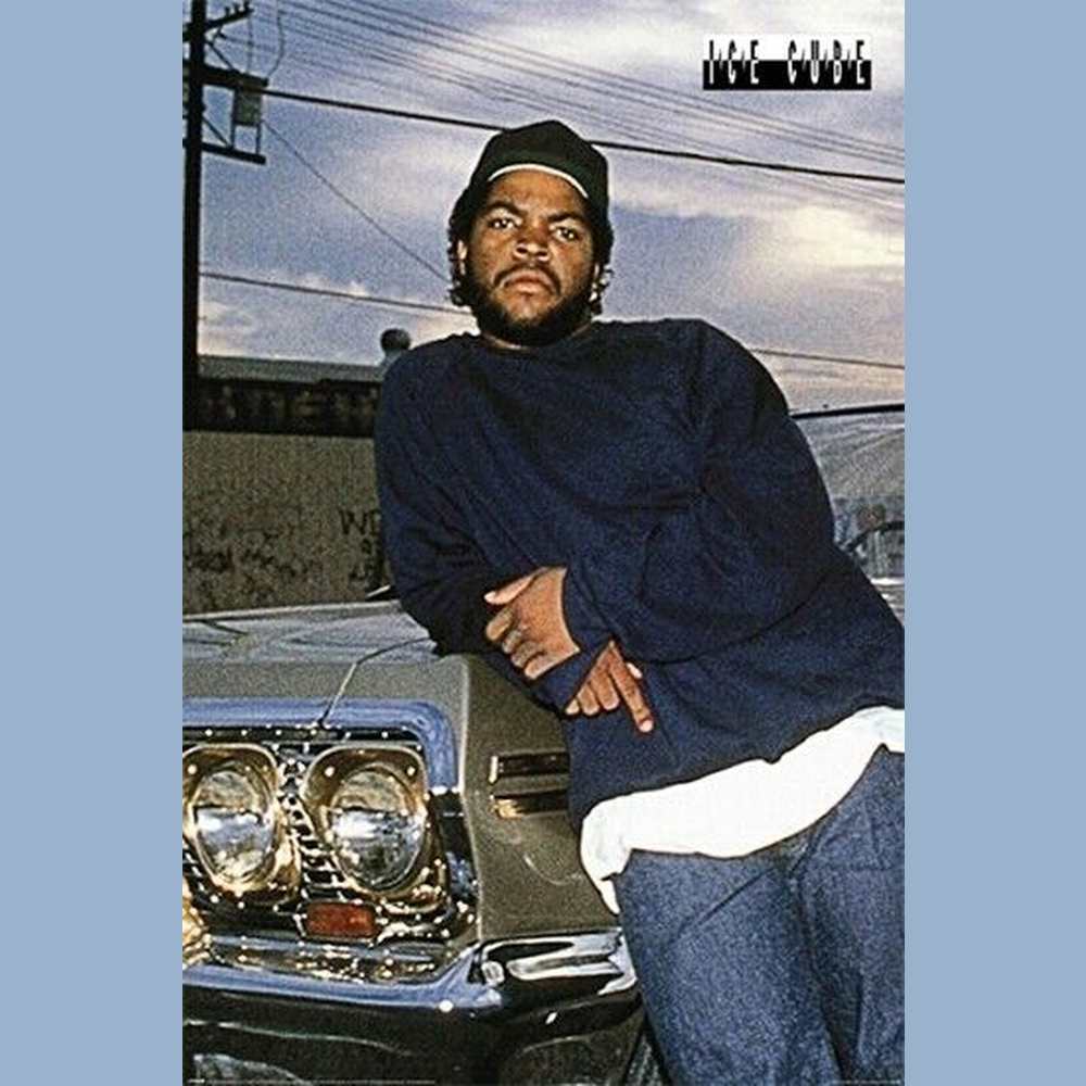 Ice Cube Poster 24" x 36" New! Art:Art Posters Style Your Walls
