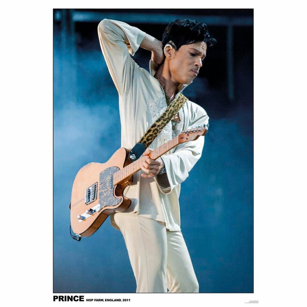 Prince Hop Park England 2011 Licensed Poster 24" x 33" New! Art:Art Posters Style Your Walls