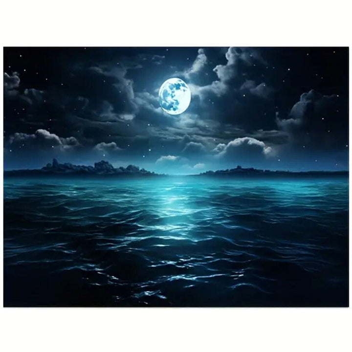 Beautiful Moonlight Over The Ocean Canvas Print Framed 12" x 16" NEW! Home & Garden:Home Décor:Posters & Prints Style Your Walls