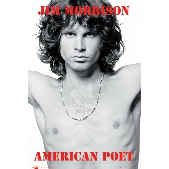 The Doors American Poet Poster 24" x 36" New! Art:Art Posters Style Your Walls