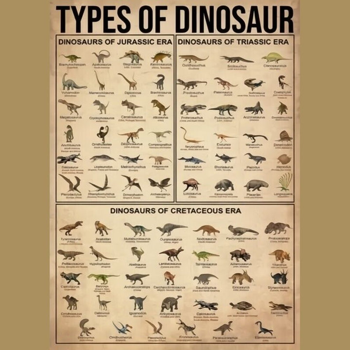 Types Of Dinosaur Canvas Art Print 16" X 20" New! Art:Art Prints Style Your Walls