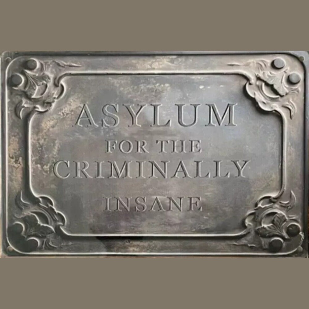Asylum For The Criminally Insane Novelty metal sign, 12 x 8 Wall Art Home & Garden:Home Décor:Plaques & Signs Style Your Walls