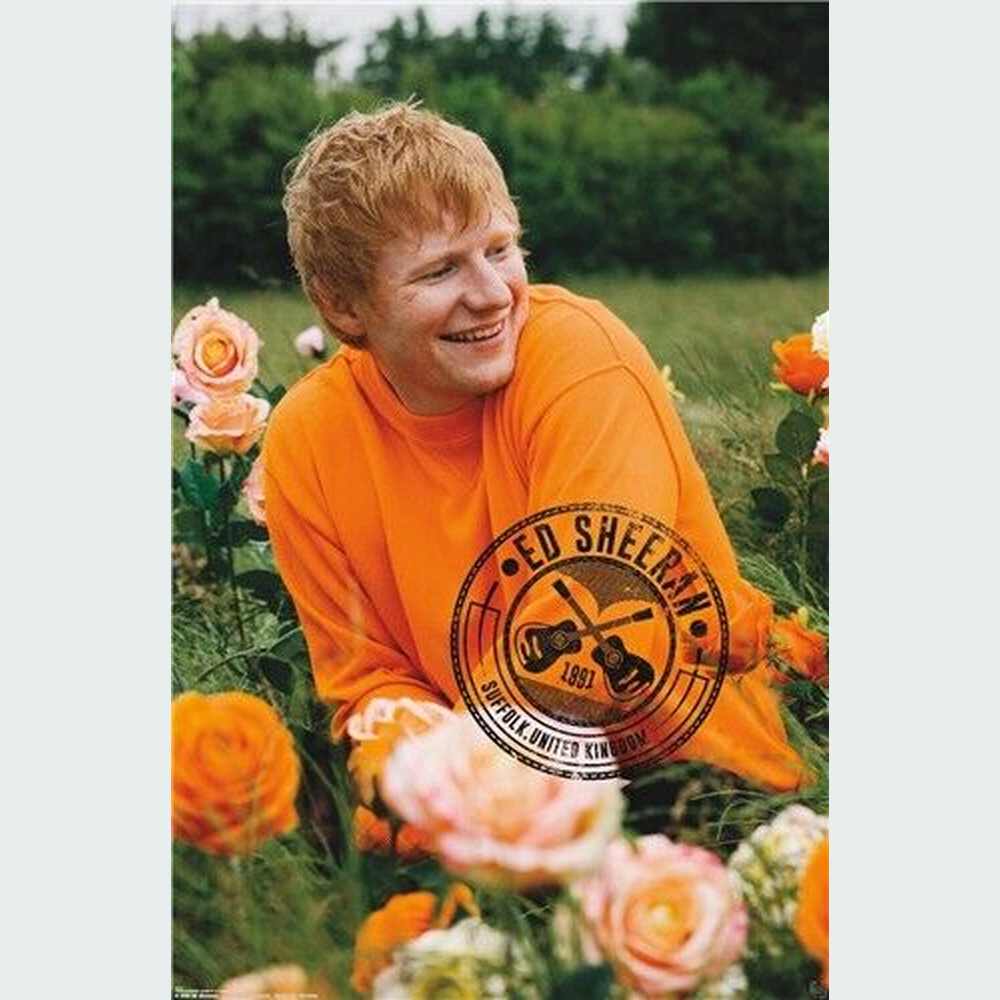 Ed Sheeran Rose Field Poster 22.375" x 34" NEW! Home & Garden:Home Décor:Posters & Prints Style Your Walls
