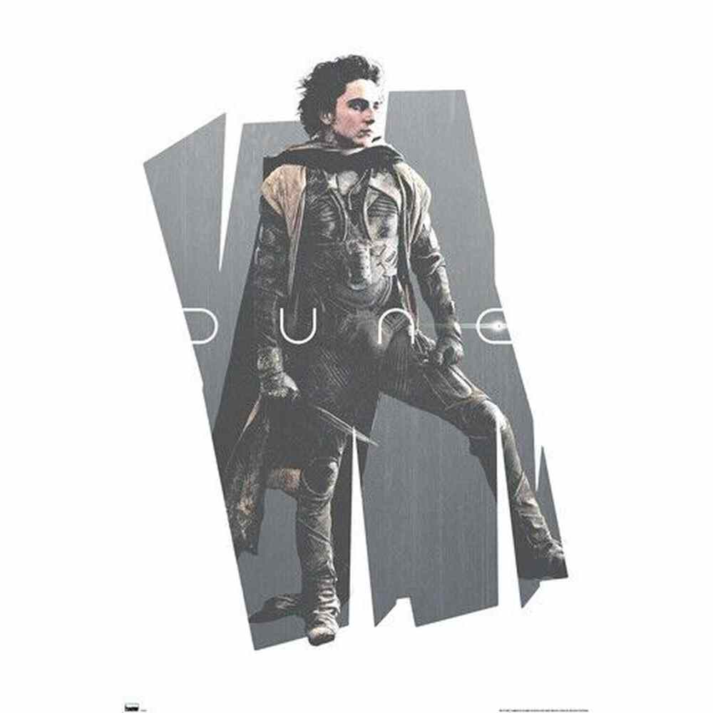 Dune: Part 2 - Paul Atreides Profile Movie Poster 22.375" x 34" NEW! Home & Garden:Home Décor:Posters & Prints Style Your Walls