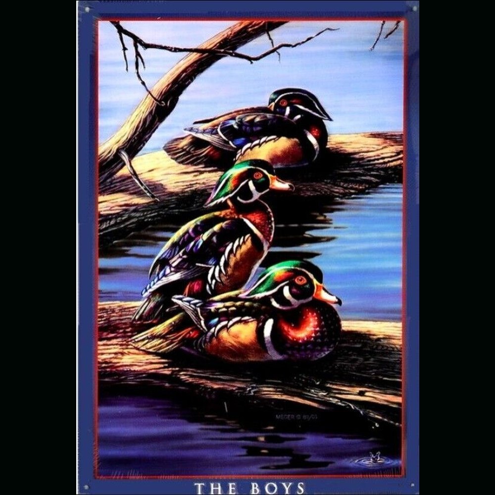 "The Boys" Three Ducks Novelty Metal Sign 12.5" X 17.4" NEW! Home & Garden:Home Décor:Plaques & Signs Style Your Walls