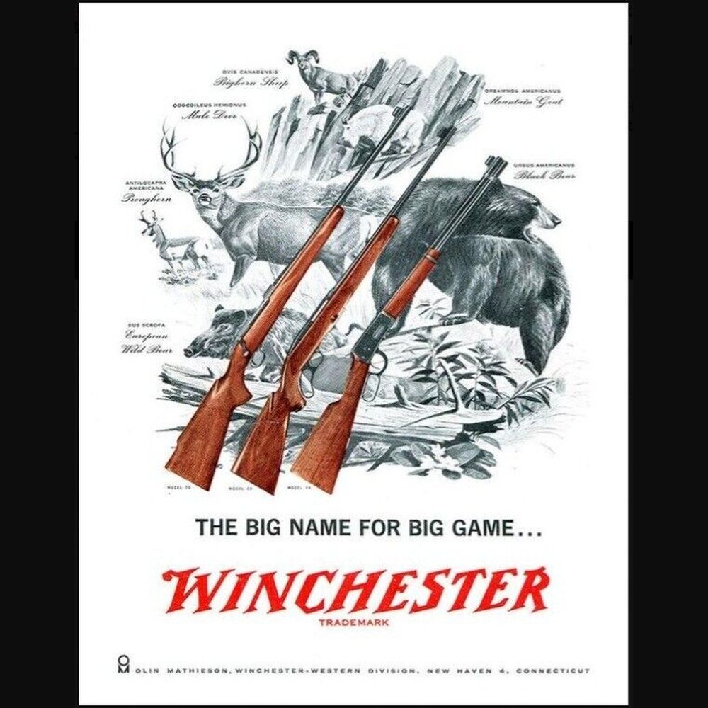 Winchester Rifles "The Big Name For The Game" 16" x 12.5" Licensed Novelty Sign Home & Garden:Home Décor:Plaques & Signs Style Your Walls