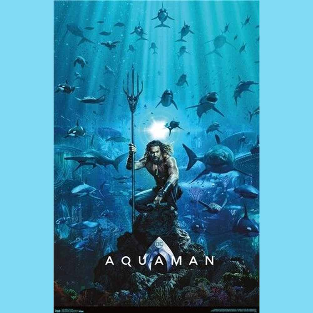 Aquaman Jason Momoa Movie Poster 22.375" x 34" NEW! Home & Garden:Home Décor:Posters & Prints Style Your Walls