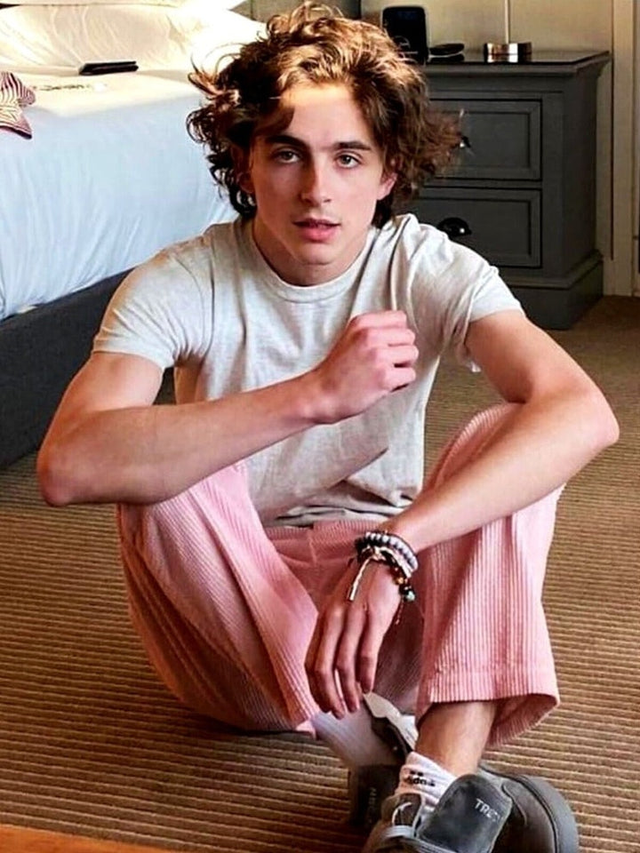 Timothee Chalamet 8.5 x 11 Color Photograph Art Print Photo Picture Collectibles:Photographic Images:Photographs Style Your Walls