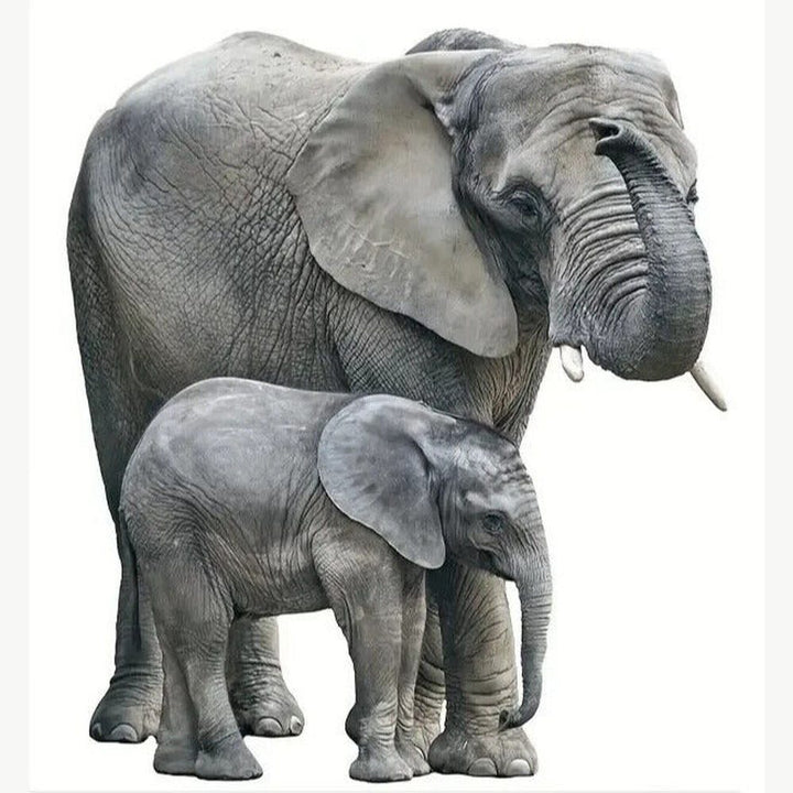 Realistic Elephant 3D Wall Decal 25.5" x 22.8" NEW! Home & Garden:Home Décor:Decals, Stickers & Vinyl Art Style Your Walls
