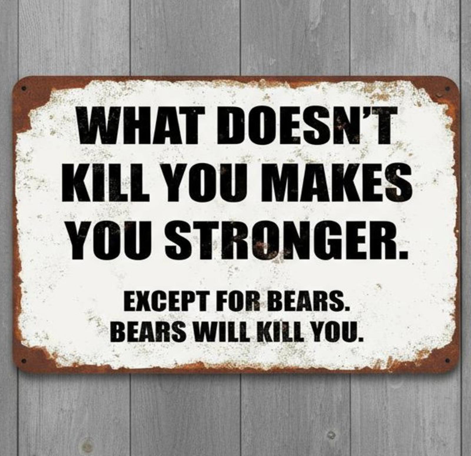 What Doesn't Kill You Makes You Stronger 8 x 12 Vintage Novelty Metal Sign New!