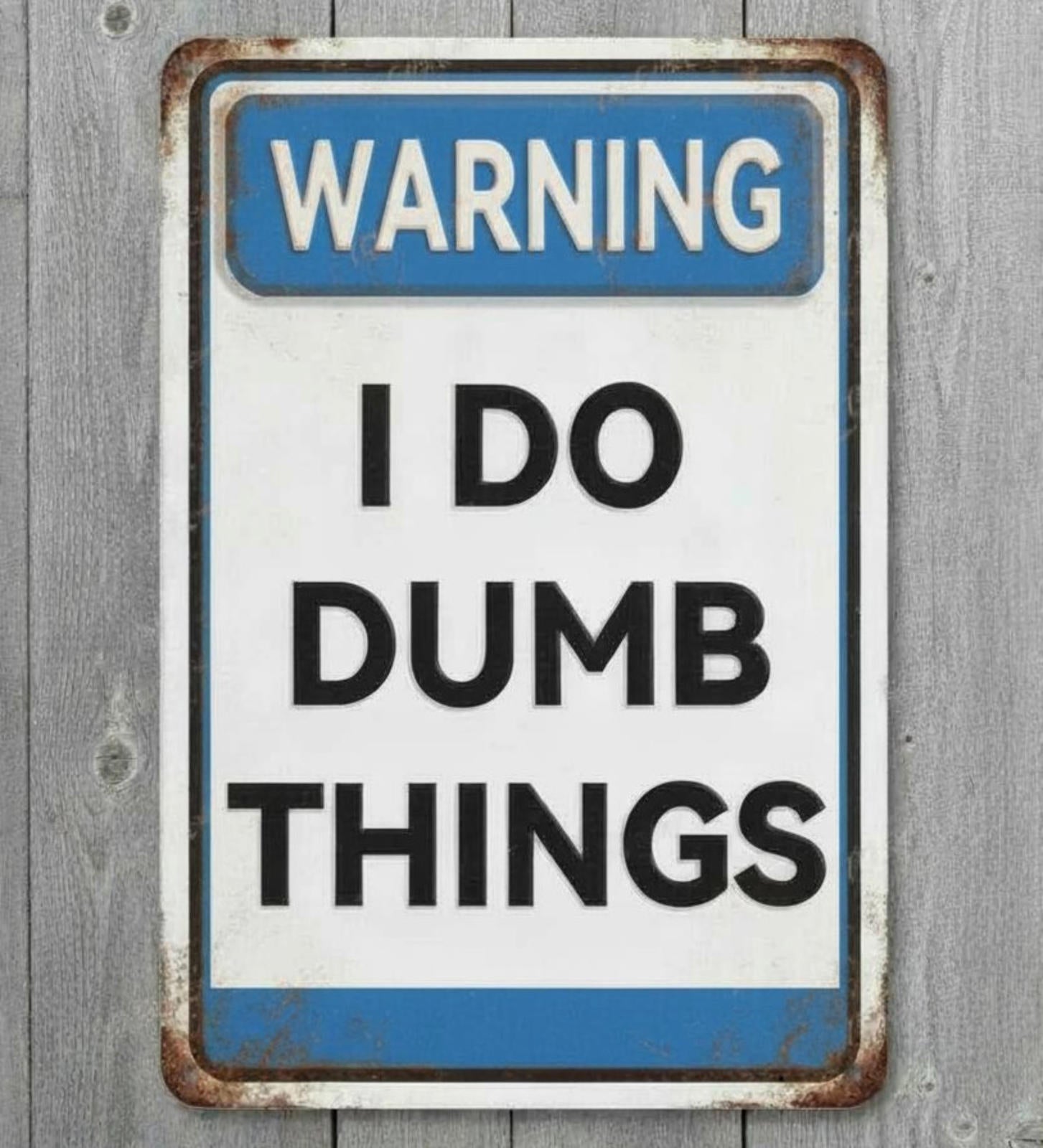 Warning I Do Dumb Things 8 x 12 Vintage Novelty Metal Sign Made In USA