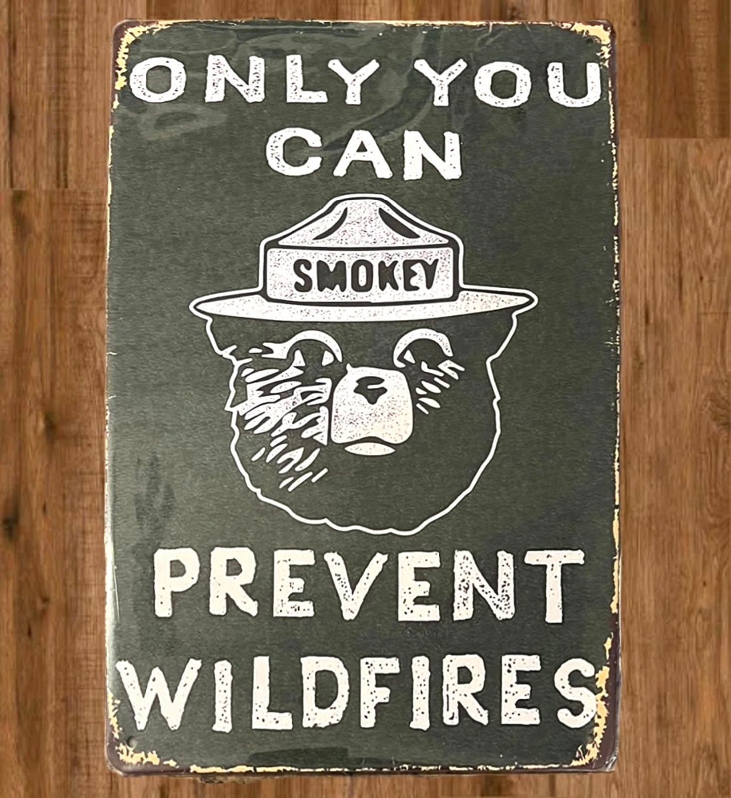 Smokey the Bear Only You Can Prevent Wildfires  8 x 12 Novelty Metal Sign