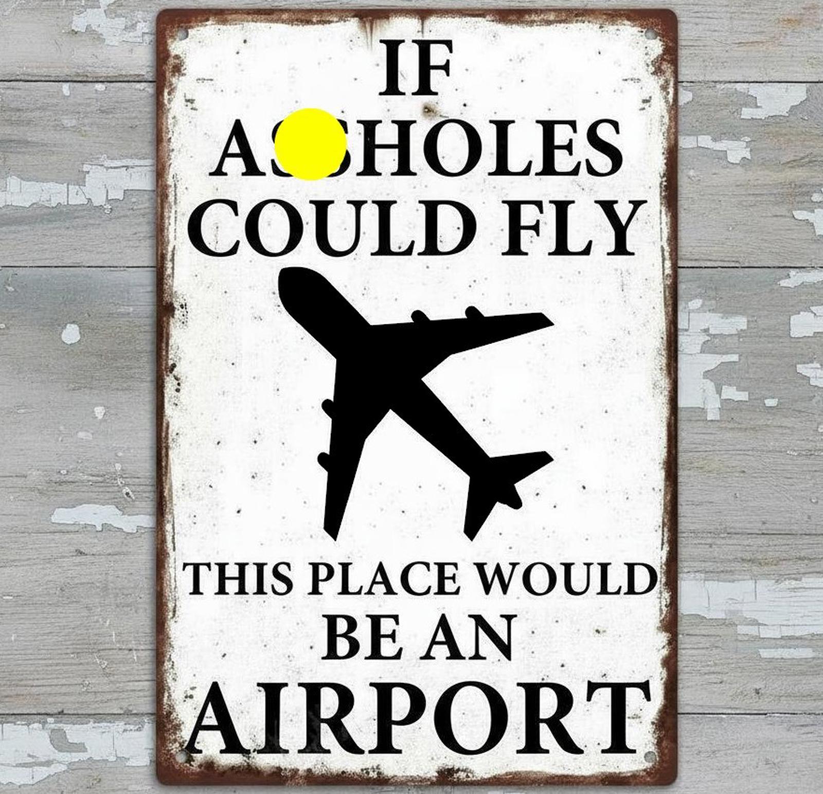 If A**holes Could Fly This Place Would Be An Airport 8 x 12 Novelty Metal Sign