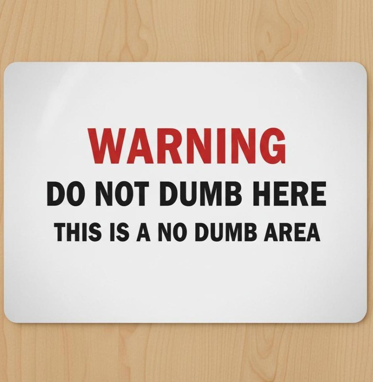 Warning Do Not Dumb Here 9.5 x 8 Mouse Pad With Rubber Backing Made In USA