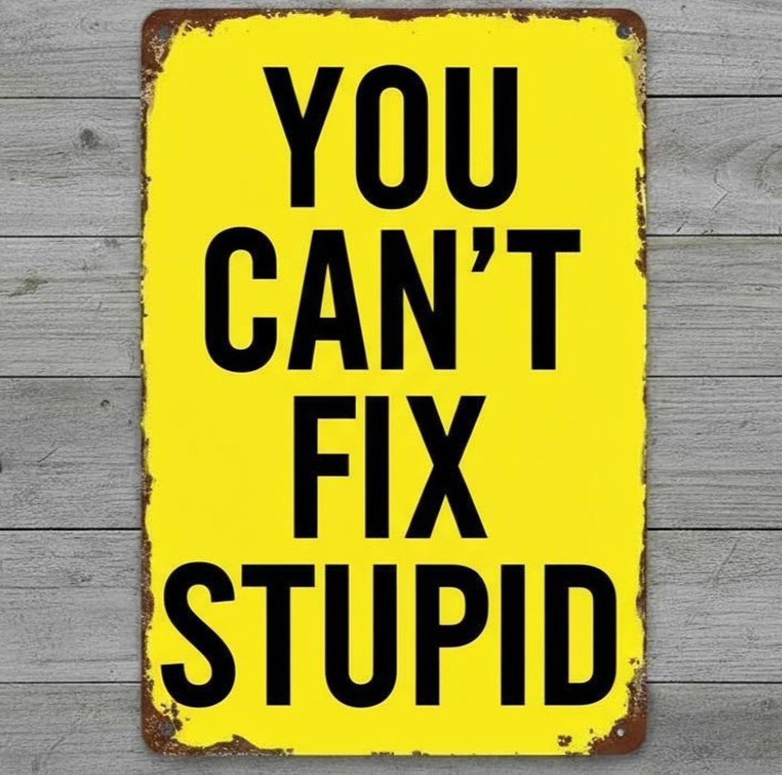 You Can't Fix Stupid 8 x 12 Vintage Novelty Metal Sign Made In USA New!