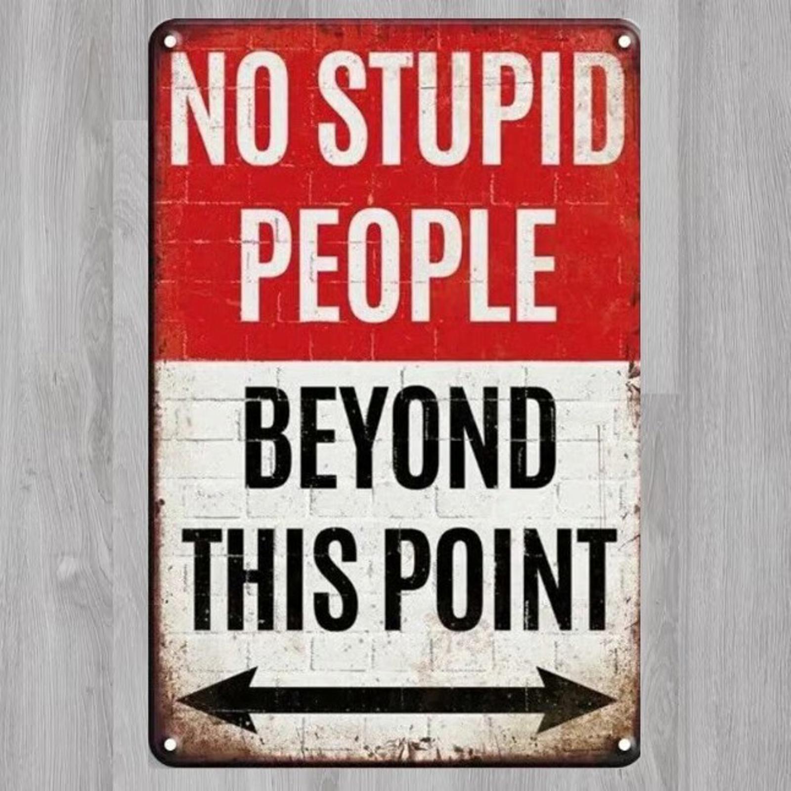 No Stupid People Beyond this Point 8 x 12 Novelty Metal Sign New!