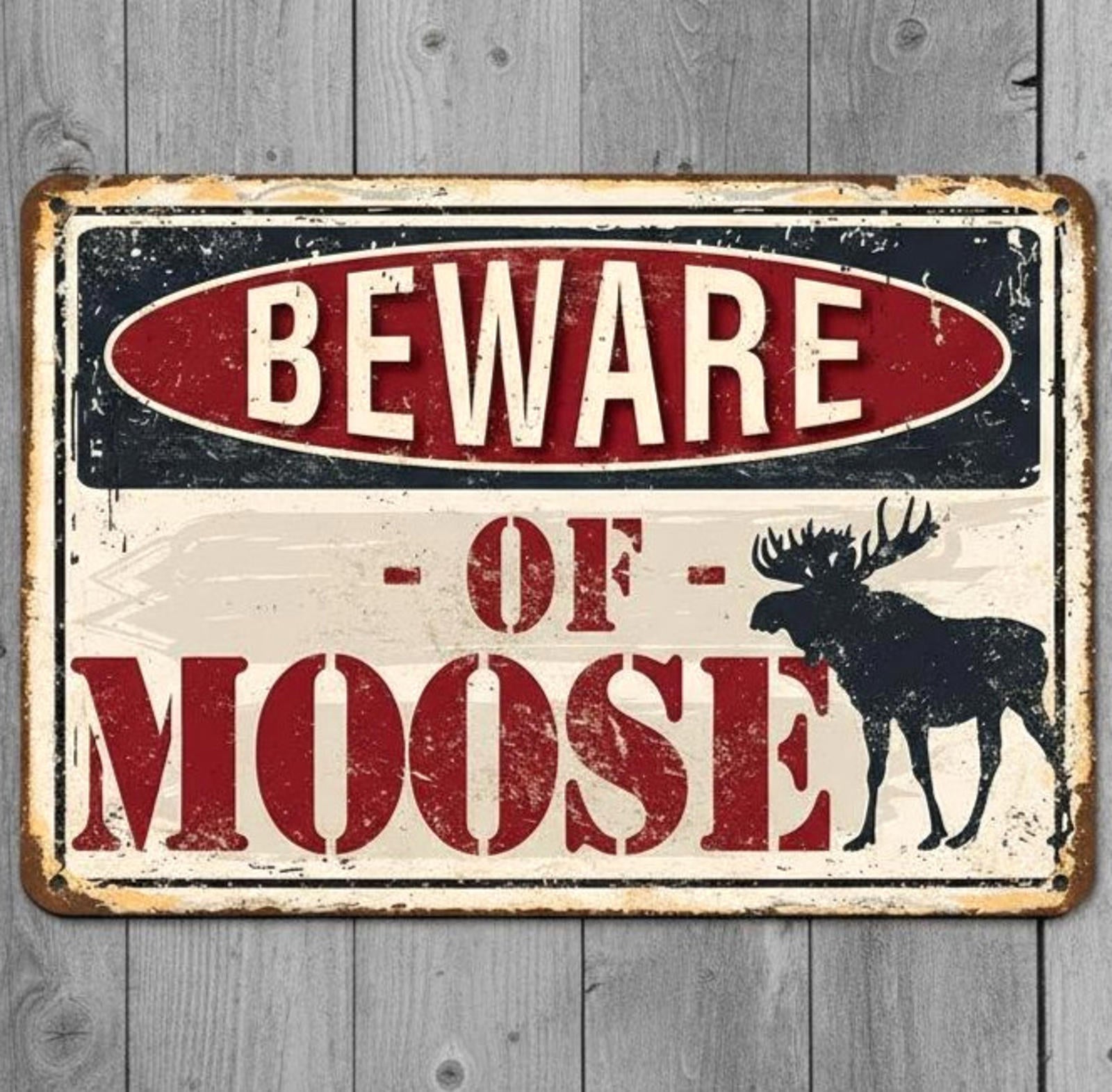 Beware Of Moose 8 x 12 Vintage Novelty Metal Sign Made In USA
