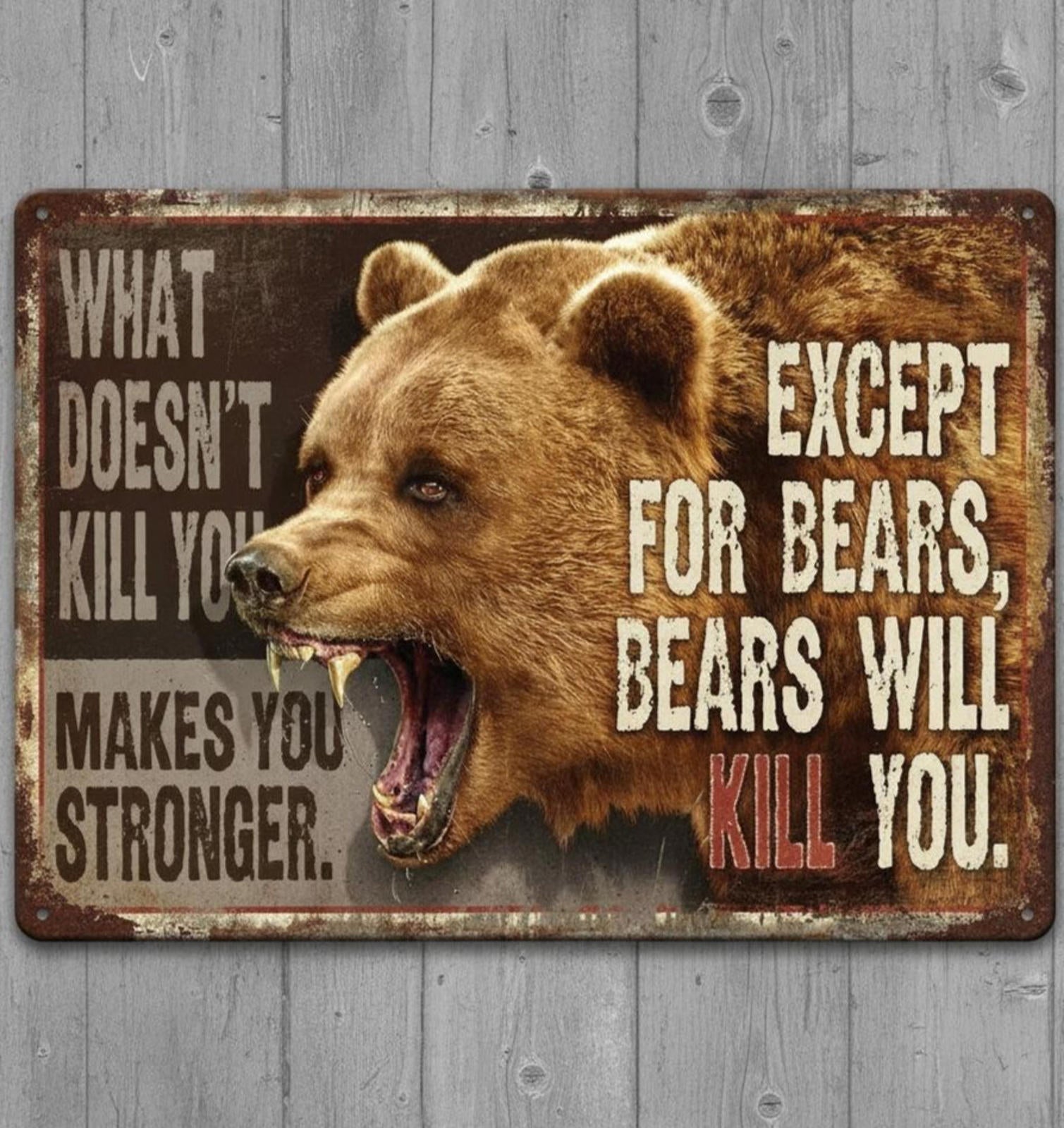 Except Bears, Bears Will Kill You 8 x 12  Novelty Metal Sign Made In USA New!