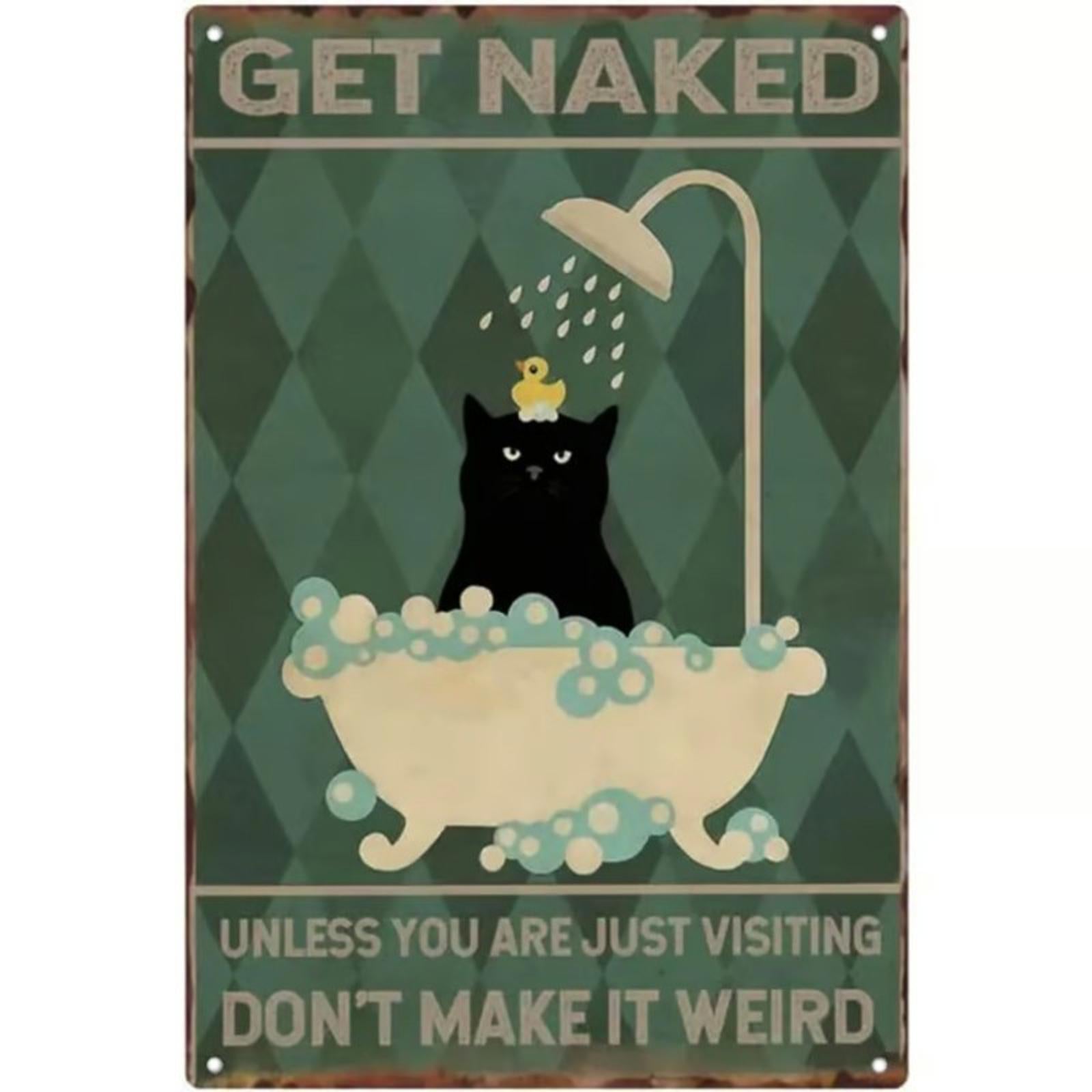 Get Naked Unless You Are Just Visiting 8 x 12 Novelty Metal Sign New!
