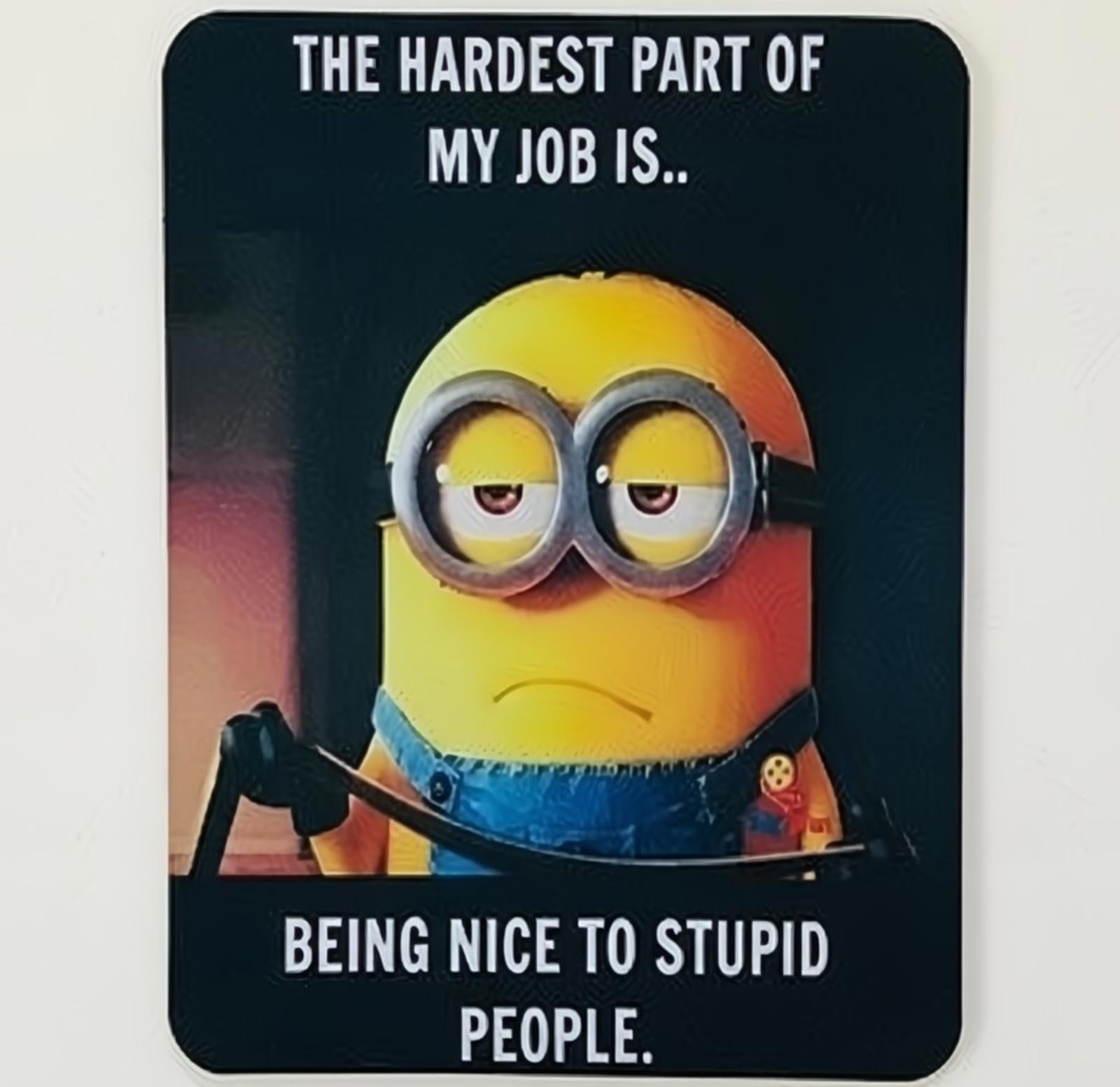 Being Nice To Stupid People Humor 9.5 x 8 Mouse Pad With Rubber Backing USA Made