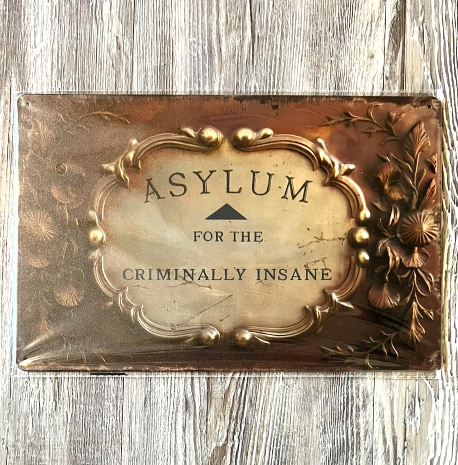 Asylum For The Criminally Insane Family Entrance 8 x 12 Novelty Metal Sign