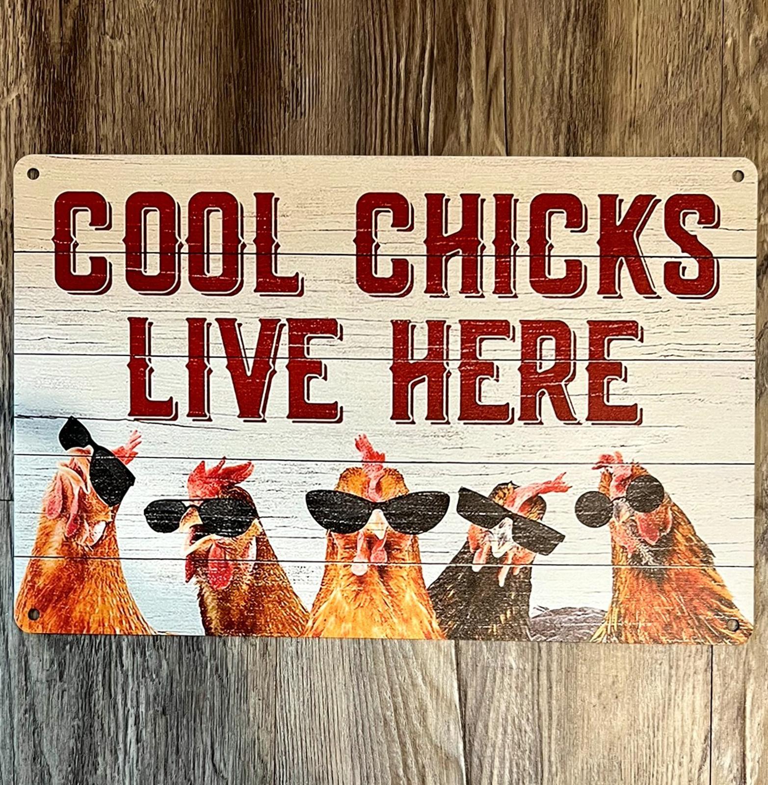 Cool Chicks Live Here 8 x 12 Novelty Metal Sign New!