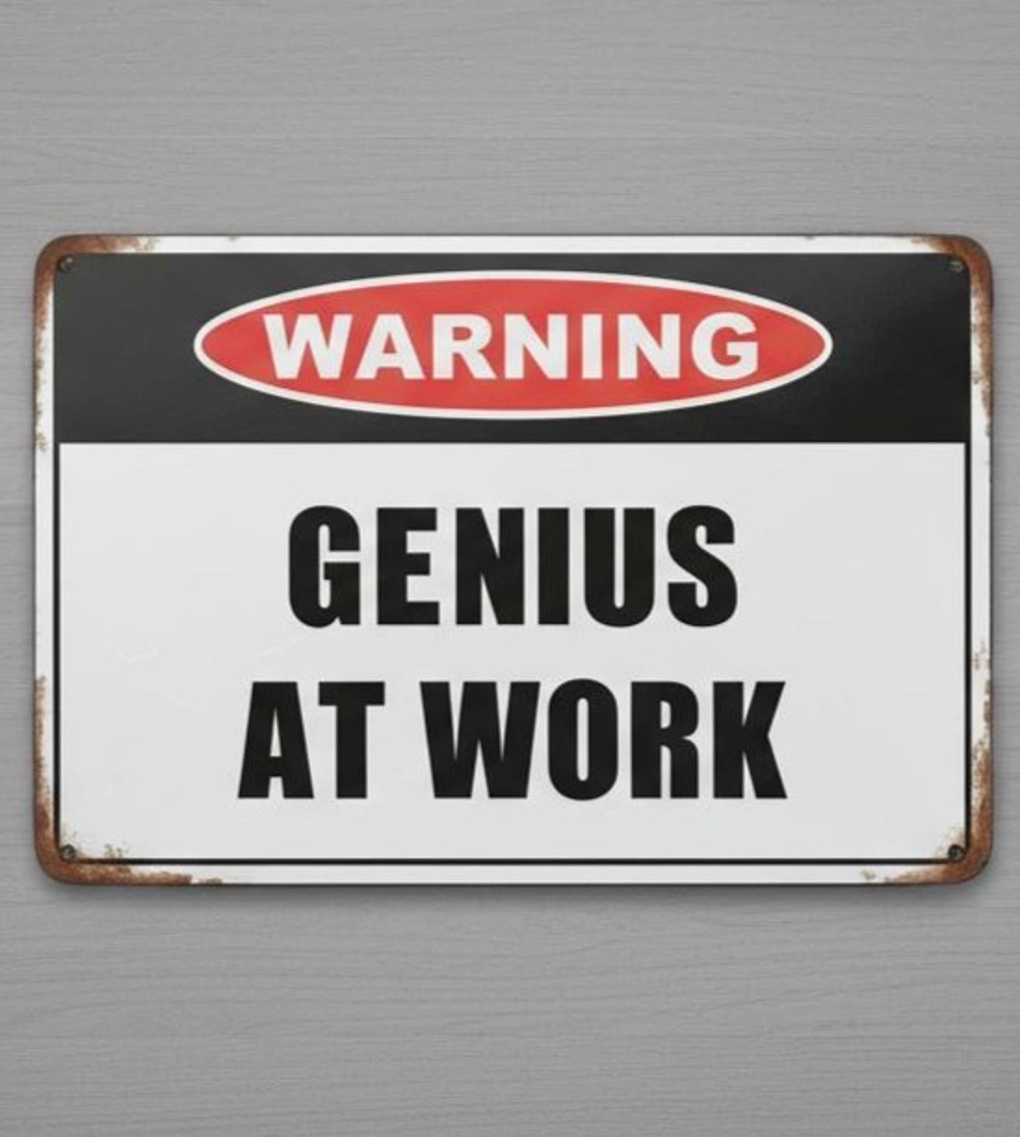 Warning Genius At Work 8 x 12 Vintage Novelty Metal Sign New!